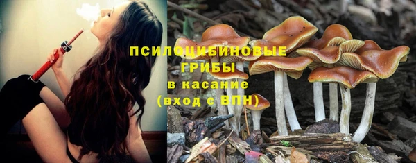 амф Остров